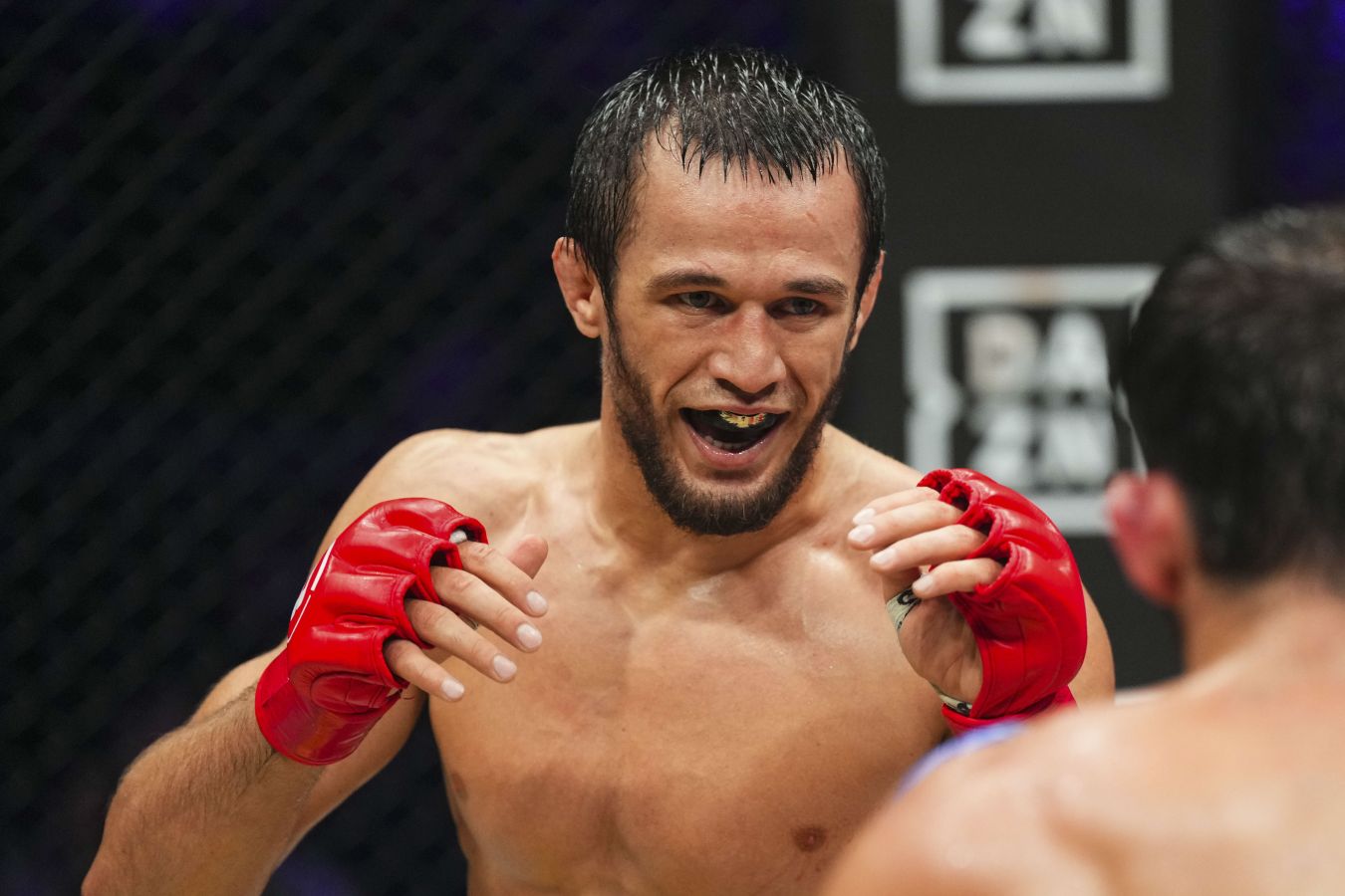 Эксперт — о возможном сопернике Усмана Нурмагомедова в UFC: засунул бы в топ-5