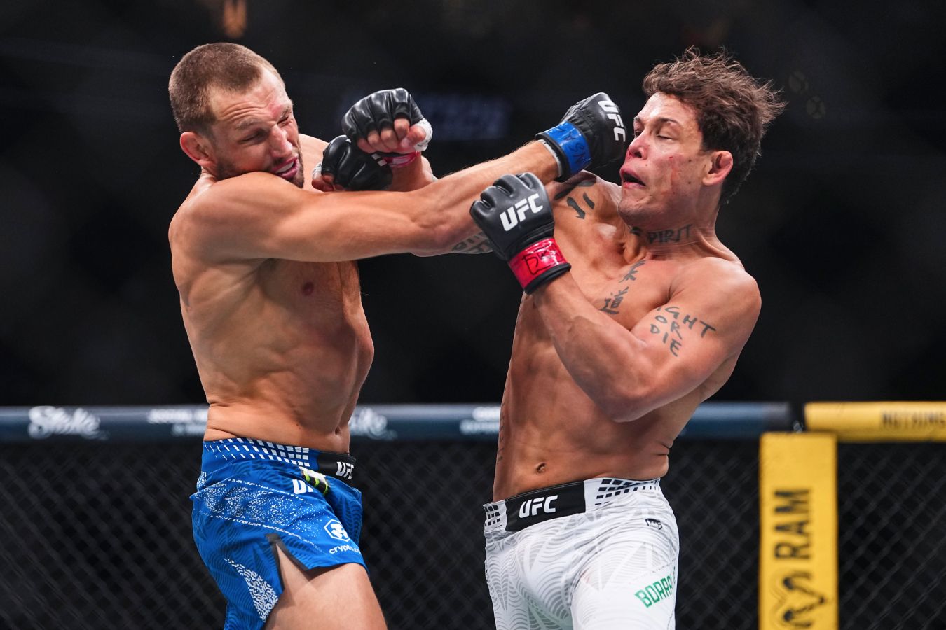 Обзор боя Кайо Борральо — Ренье де Риддер