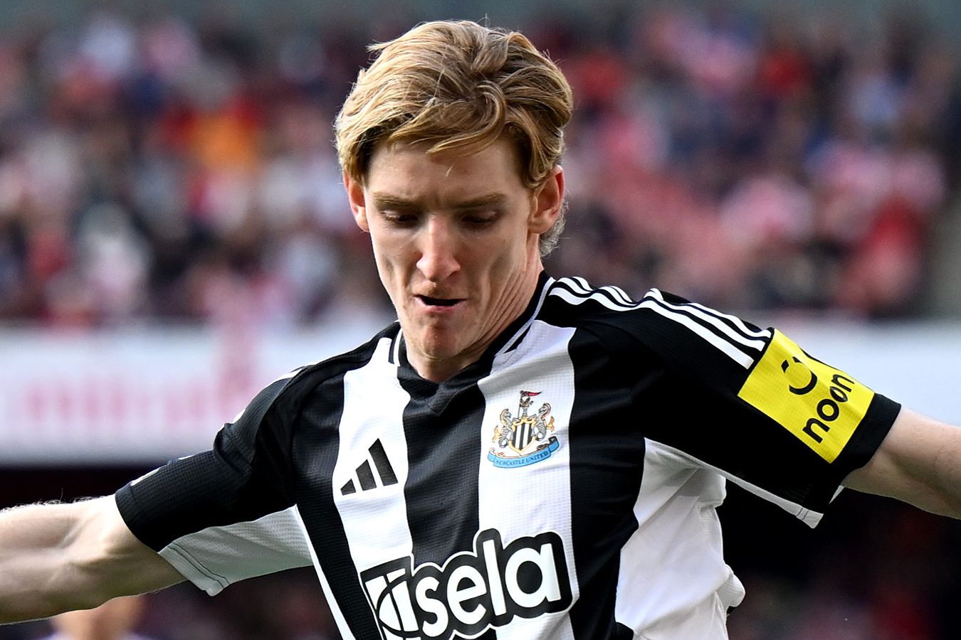 В Баварии прокомментировали информацию об интересе к Гордону из Ньюкасла