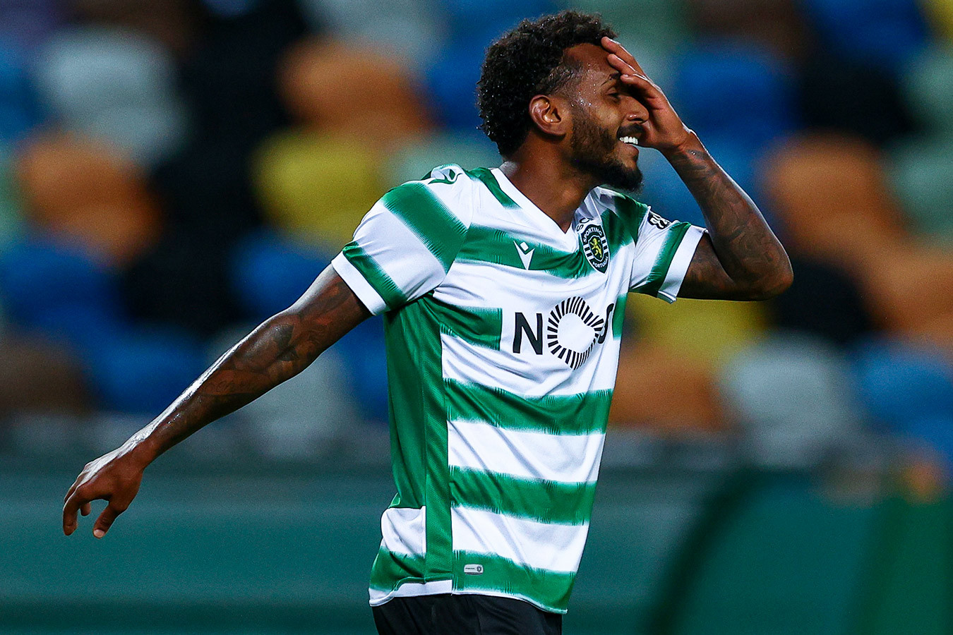 transfery rpl predstavlenie novichka