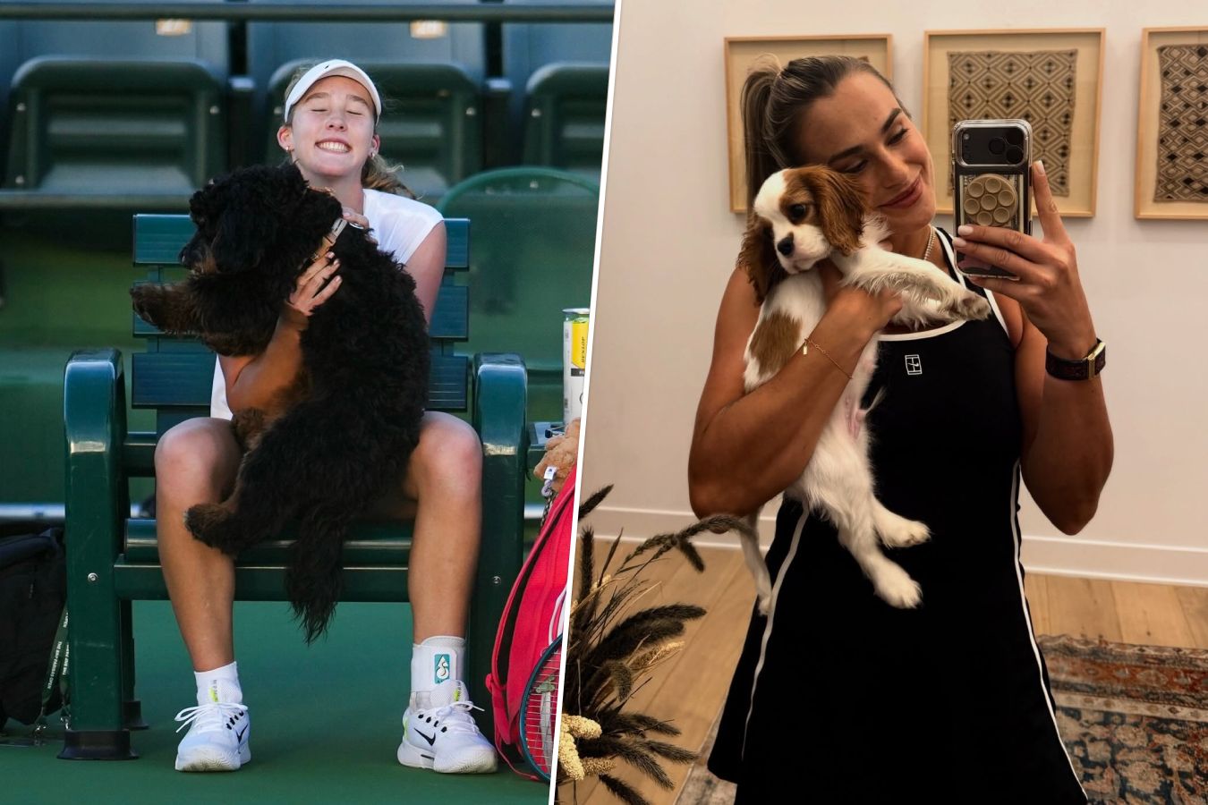 Теннисистки и их собаки в Индиан-Уэллсе-2026