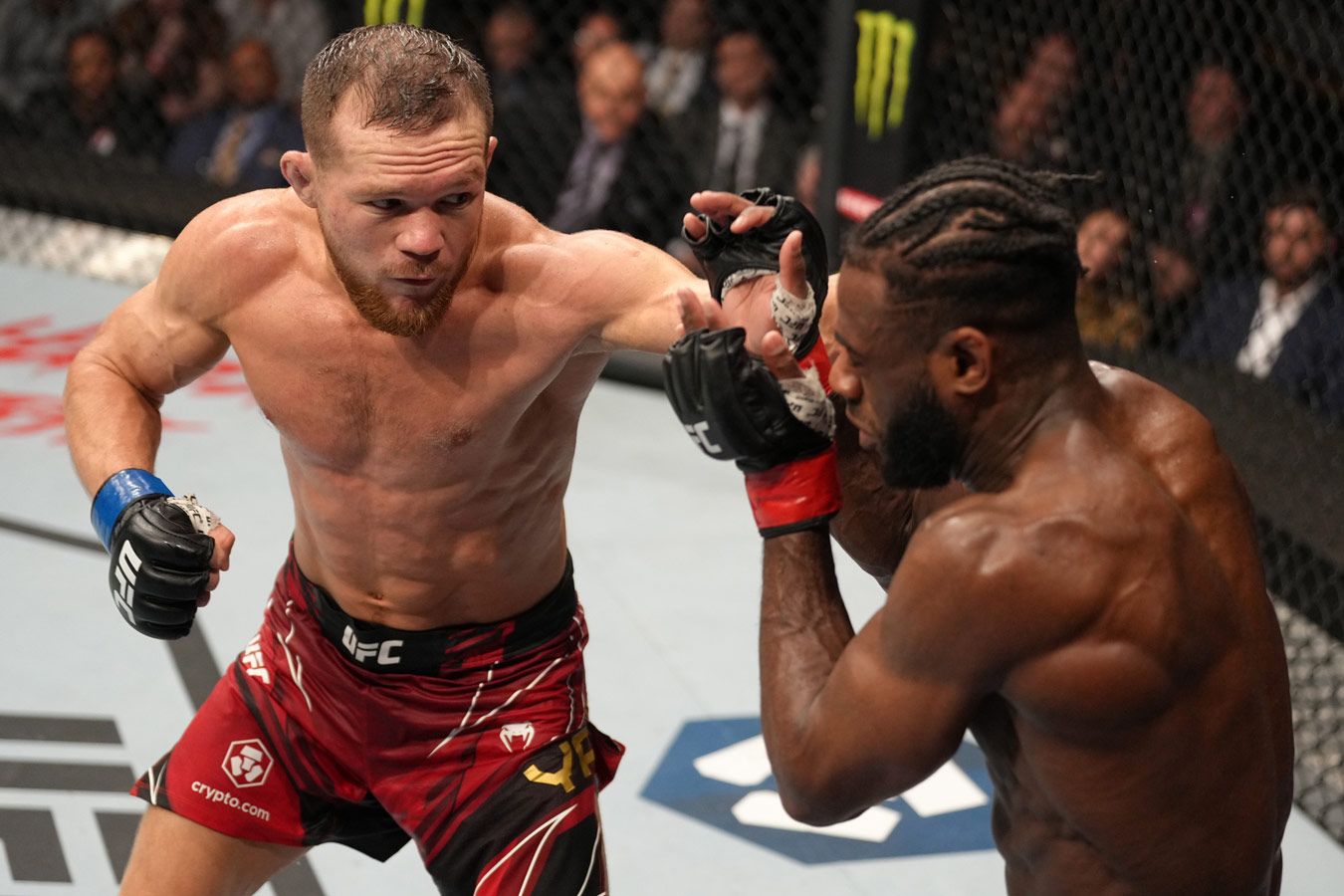 Названы гонорары Чимаева и Яна, а также остальных бойцов турнира UFC 273