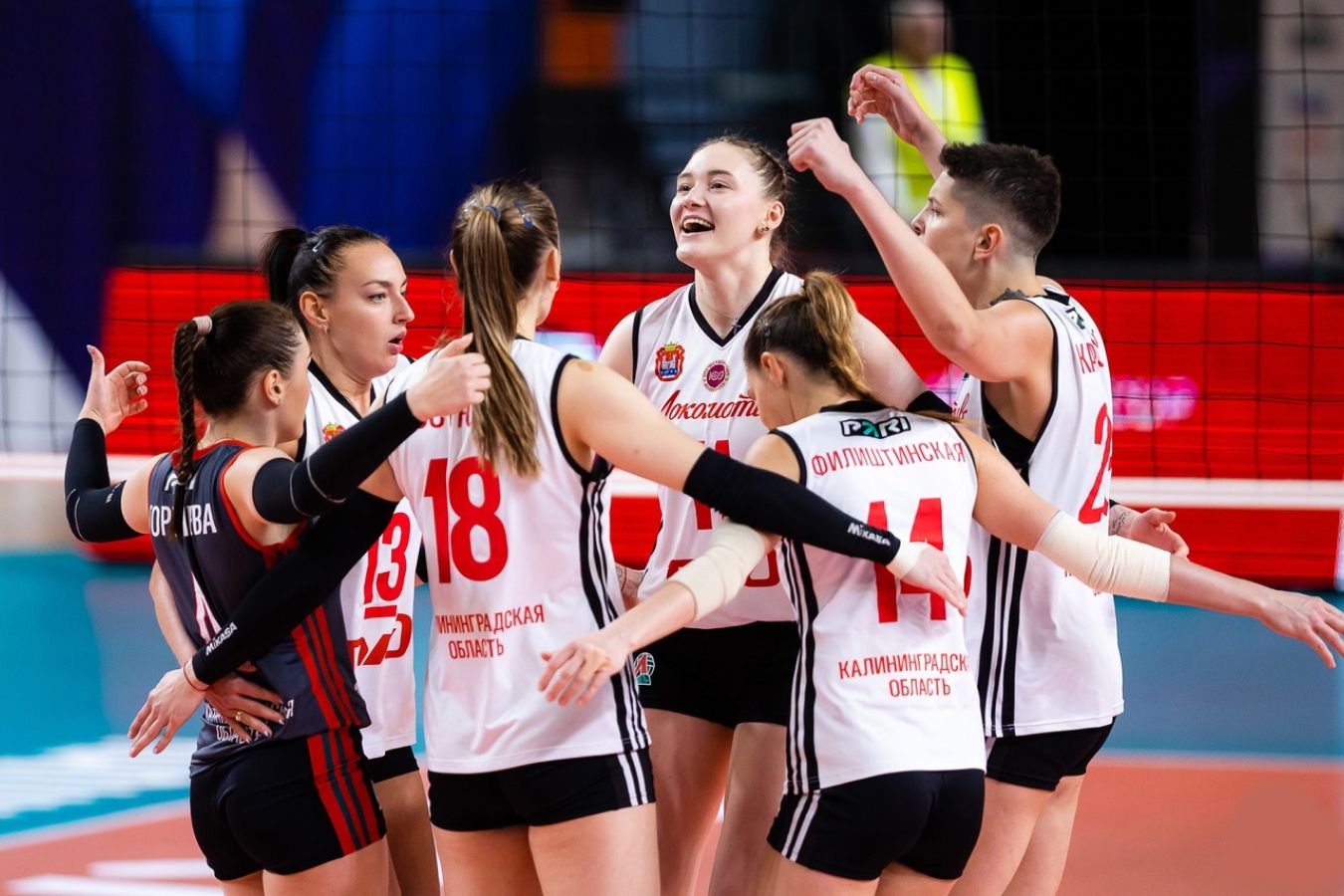 Волейбол чемпионат россии женщины ленинградка динамо
