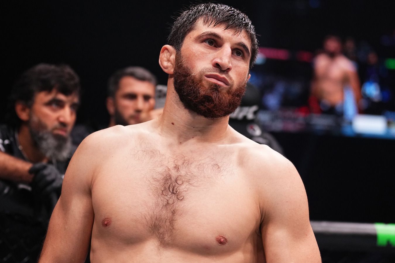 Анкалаев отреагировал на мнение, что UFC «молится» о победе Перейры в их бою