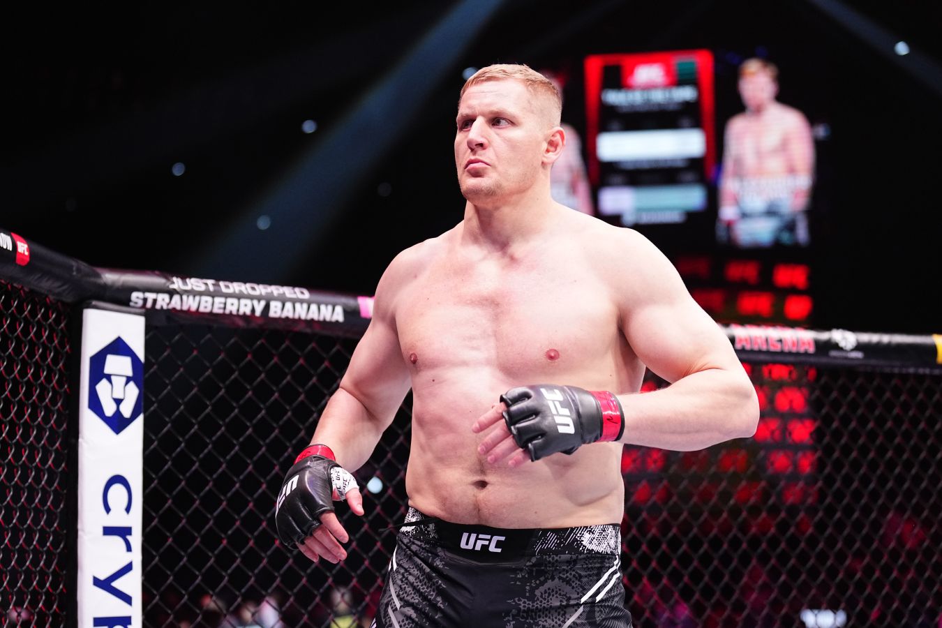 Корешков дал прогноз на предстоящий бой Павловича и Розенстрайка