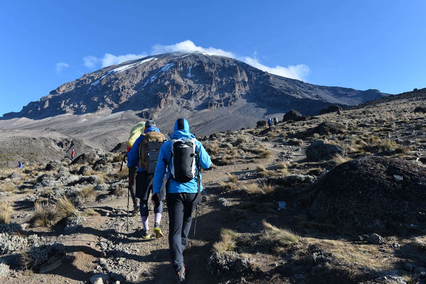 Дневник путешественника, покорившего Килиманджаро