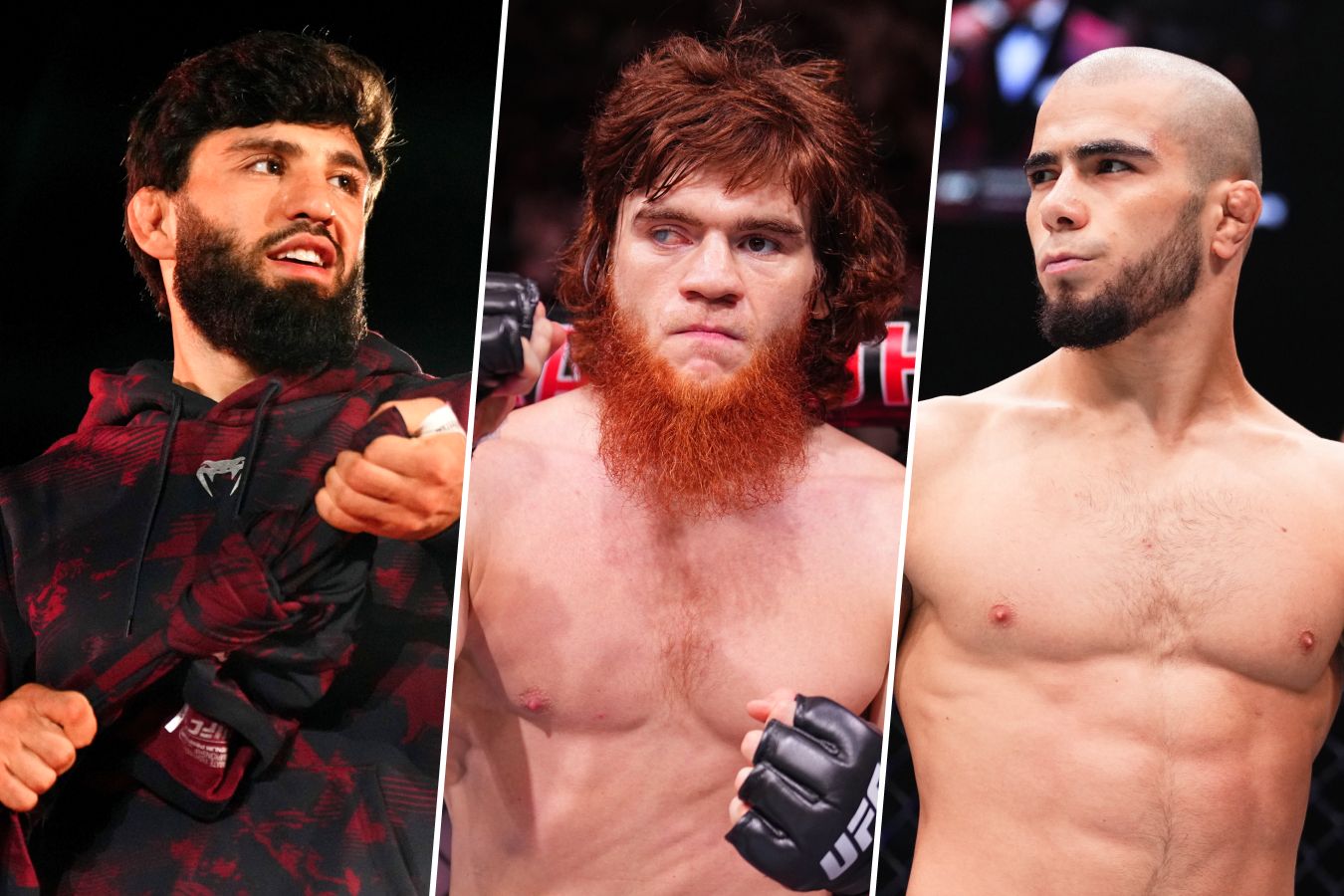 Схватки бойцов UFC по грэпплингу — утопия