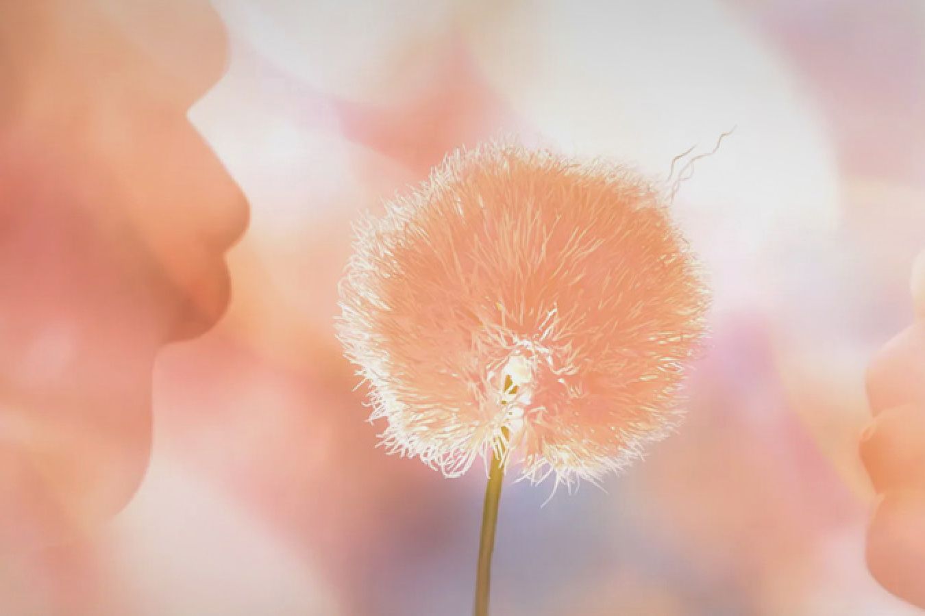 13 1023 персиковый пушок. 13 1023 персиковый пушок. 13 1023 персиковый пушок. 13 1023 персиковый пушок. 13 1023 персиковый пушок.