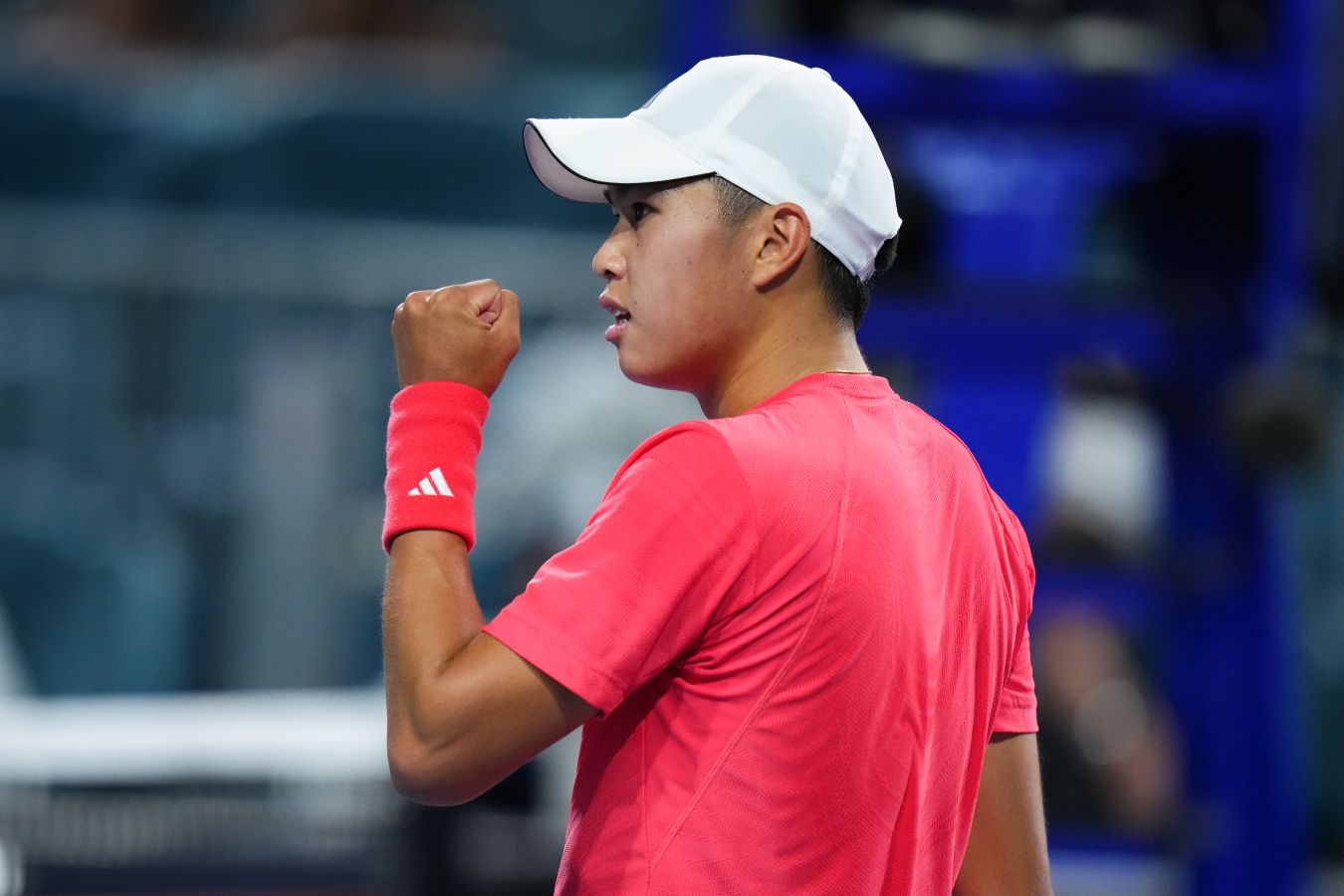 Он обладает колоссальным талантом. Матс Виландер  об игре Лёнера Тьена