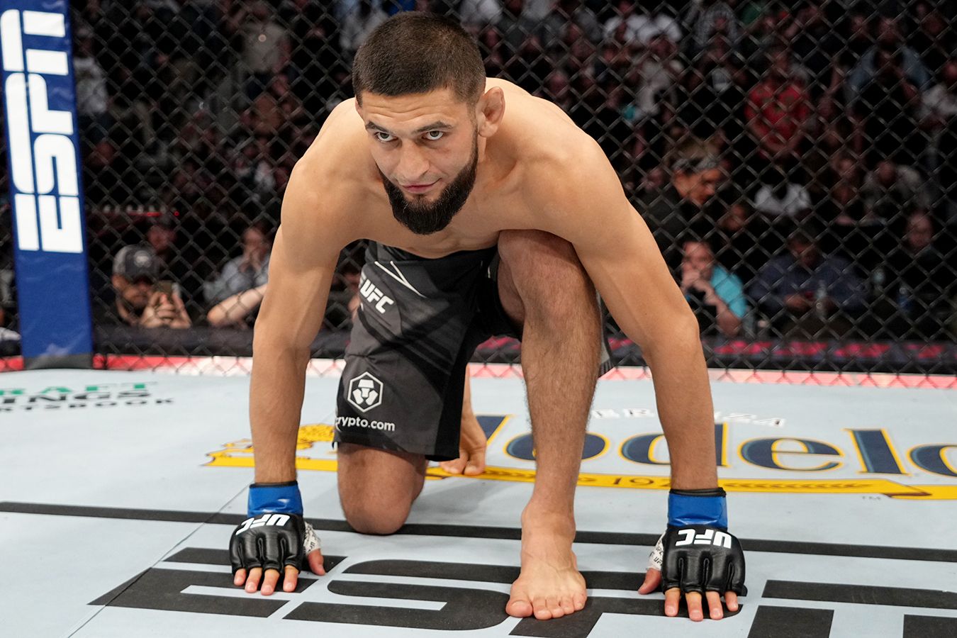 UFC (ЮФС): новости, расписание турниров 2022, результаты боев, рейтинг ...