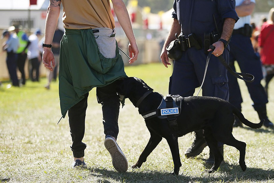 В Великобритании для борьбы с допингом будут использовать собак-ищеек
