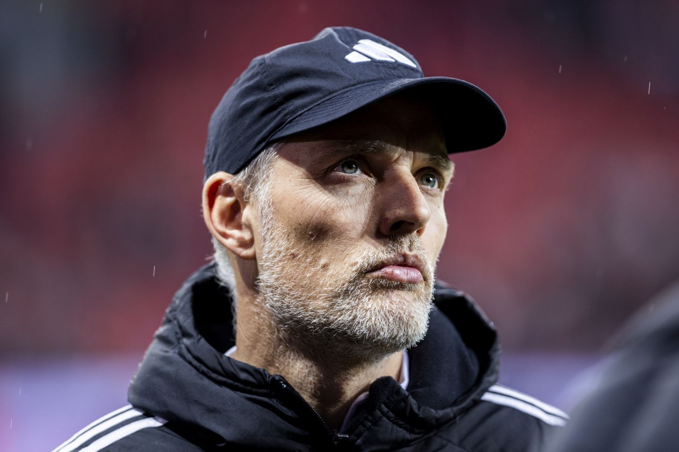 «Бавария» может уволить Томаса Тухеля посреди сезона