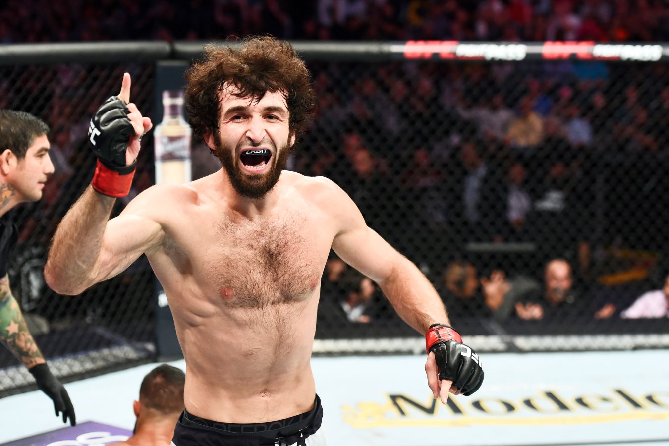 Забит Магомедшарипов