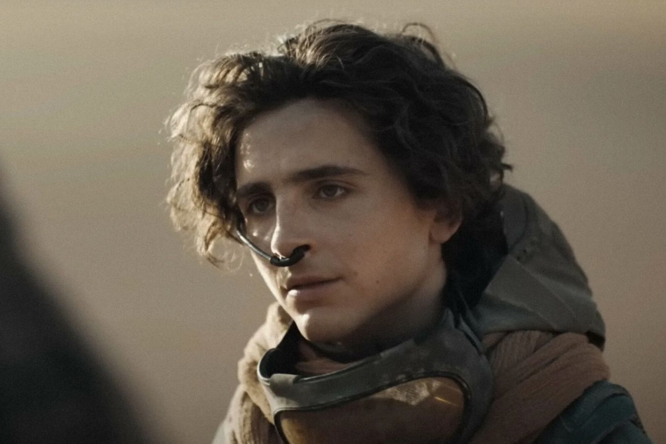 Тимоти Шаламе рассказал о необычном предмете, который хранит у себя под кроватью