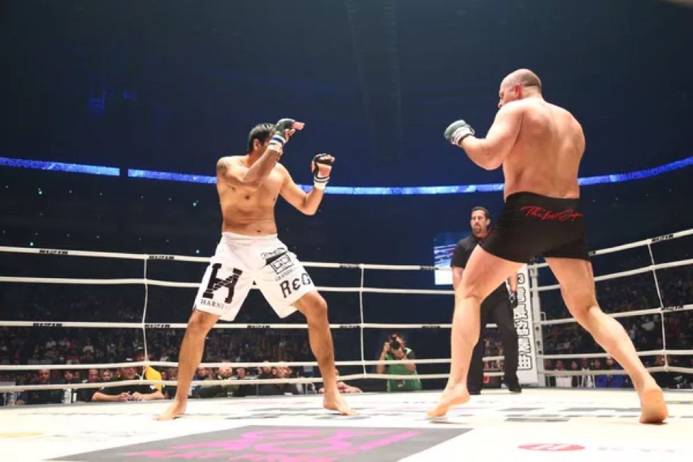 Новогоднее избиение от Фёдора