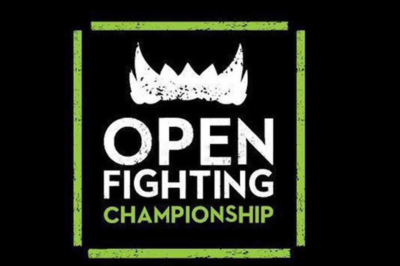 Open FC 61 кард турнира, где свой поединок проведёт Виктория Дудакова