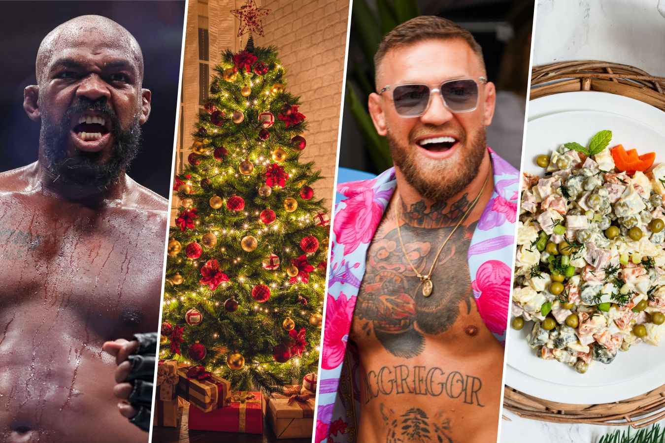 Сравниваем бойцов UFC с символами Нового года