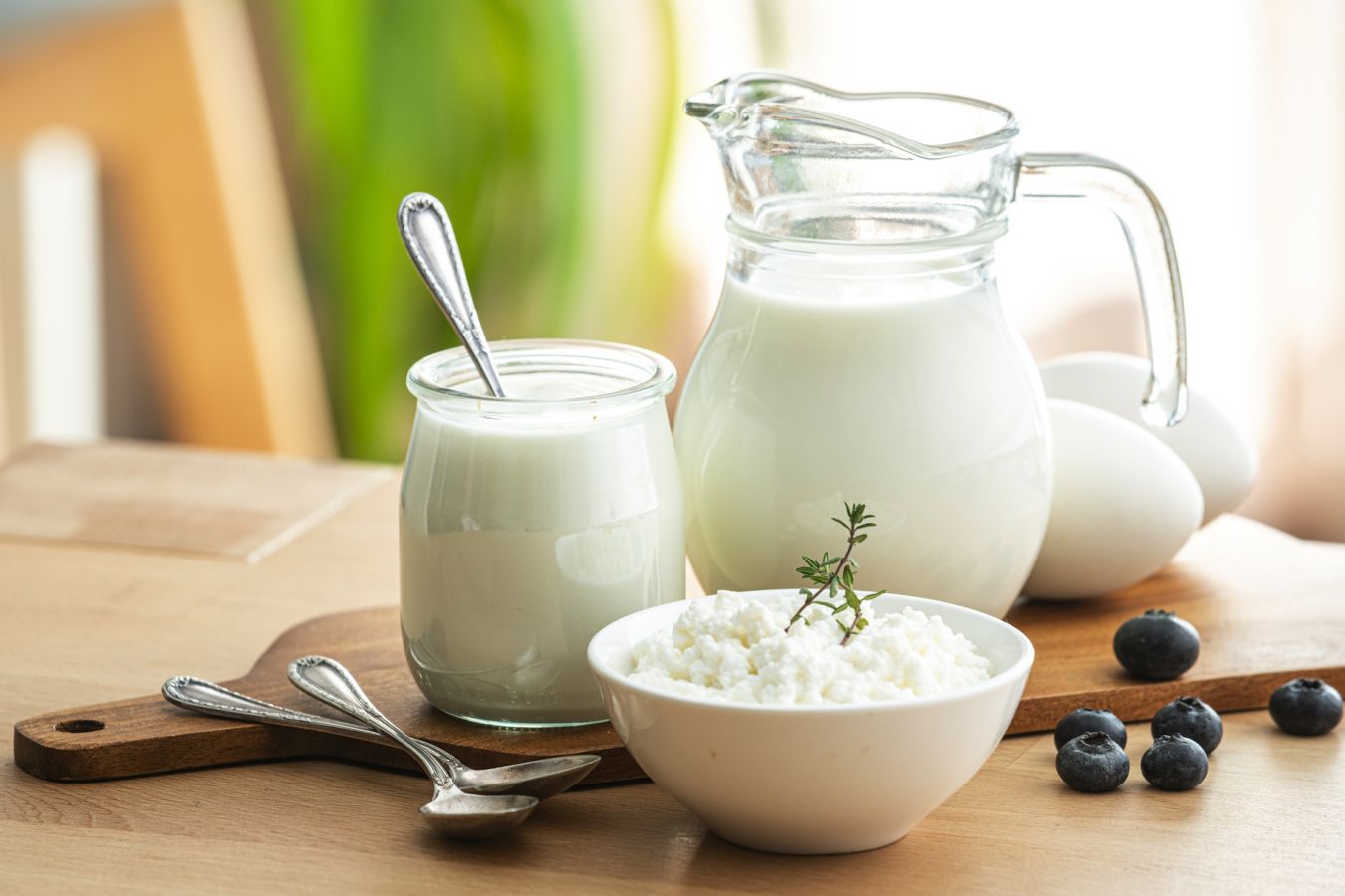 Молочные продукты: польза и вред