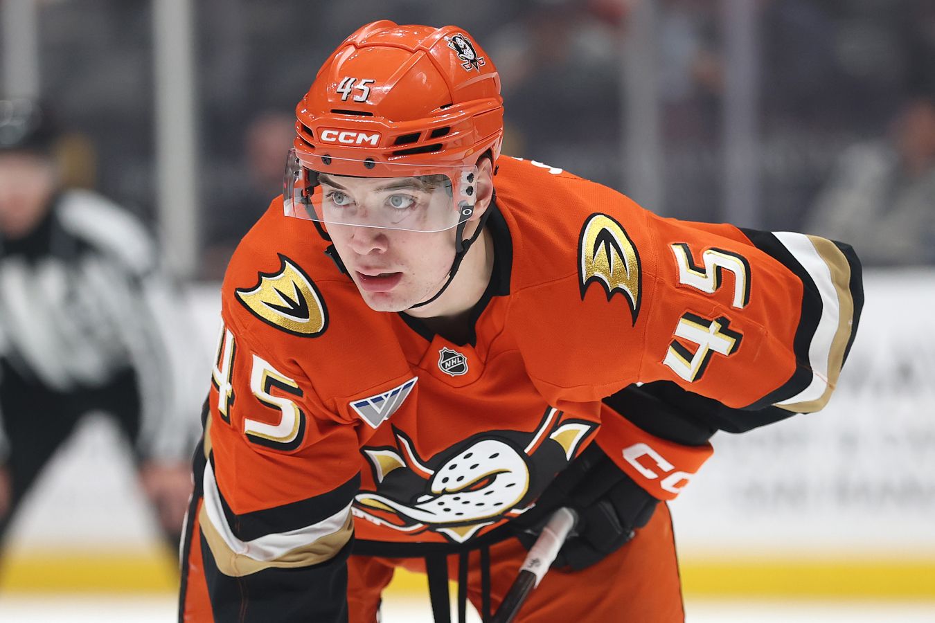 Чем хорош Сеннеке?