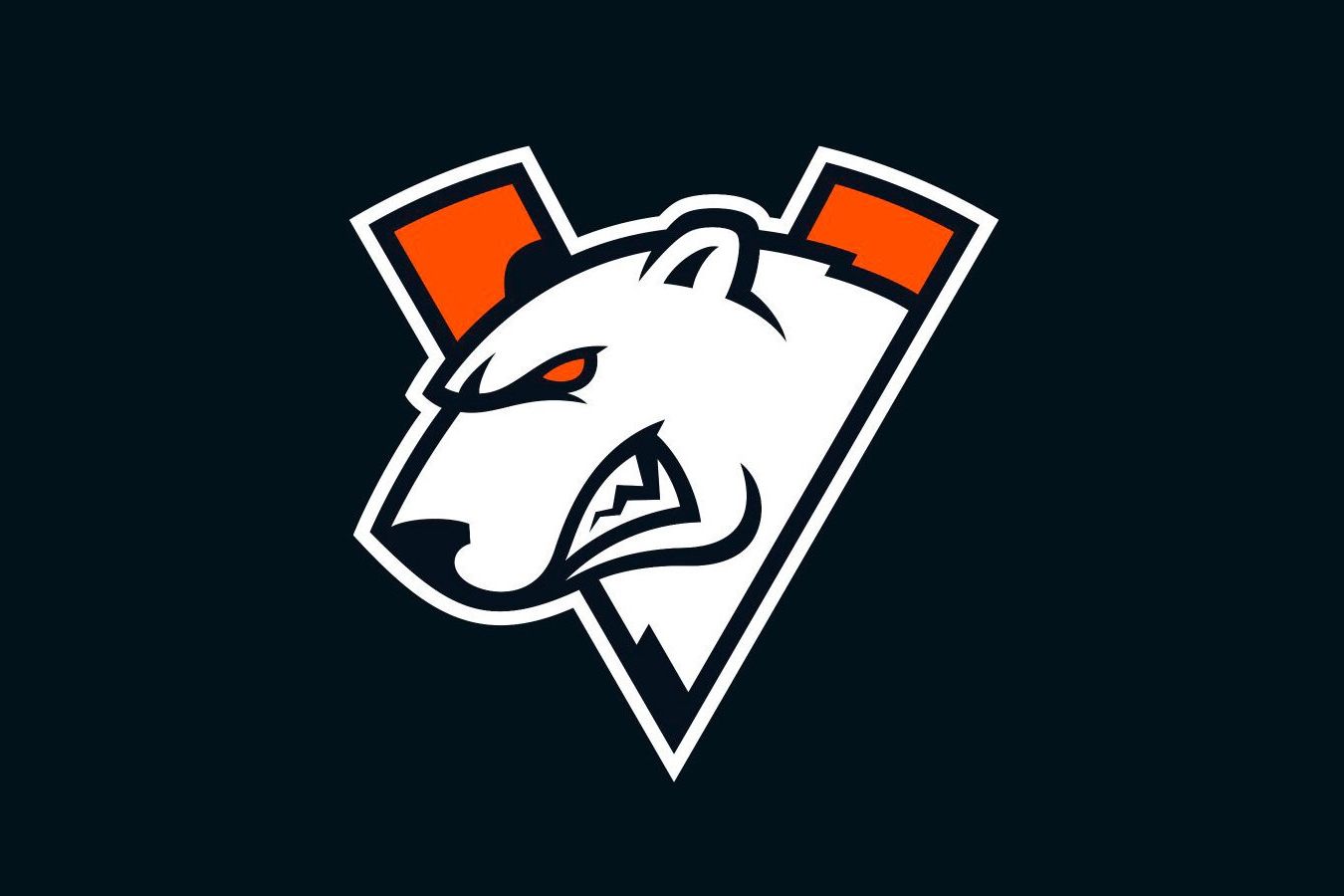 NAVI и VP получили прямые приглашения в закрытые квалификации к PGL Wallachia S3 по «Доте»