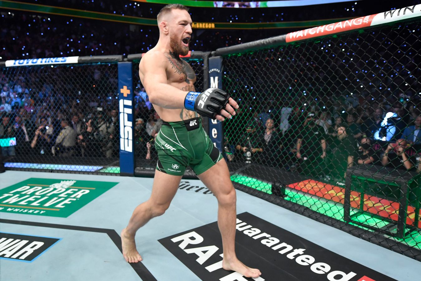 Что изменилось в UFC, пока Макгрегор не дрался?