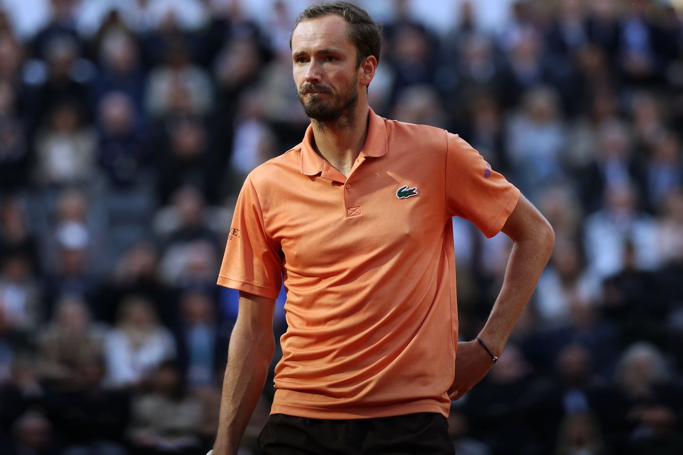 Медведев потерял одну позицию в обновлённом рейтинге ATP