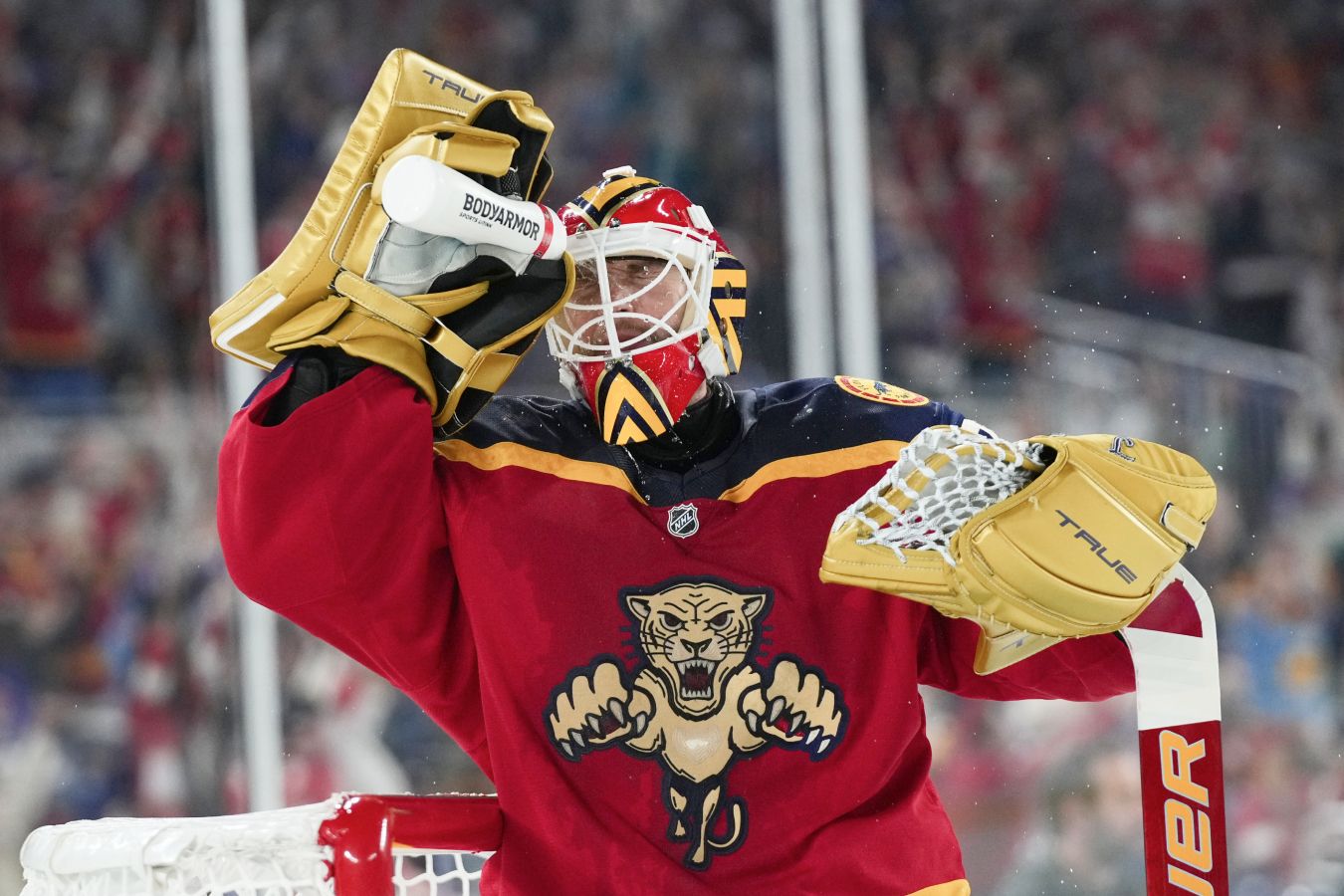 Сергей Бобровский