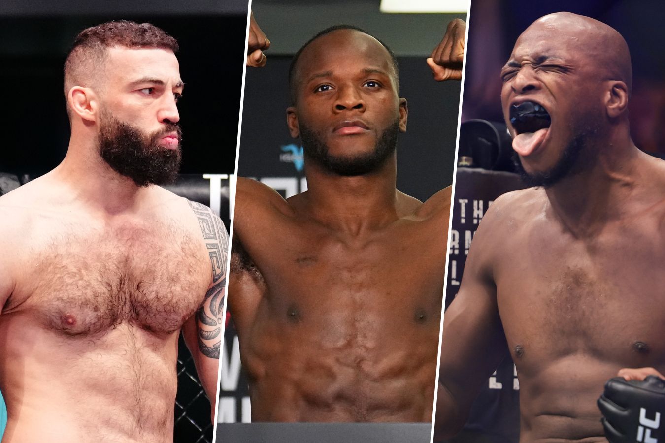 UFC Лондон, полный кард, список участников