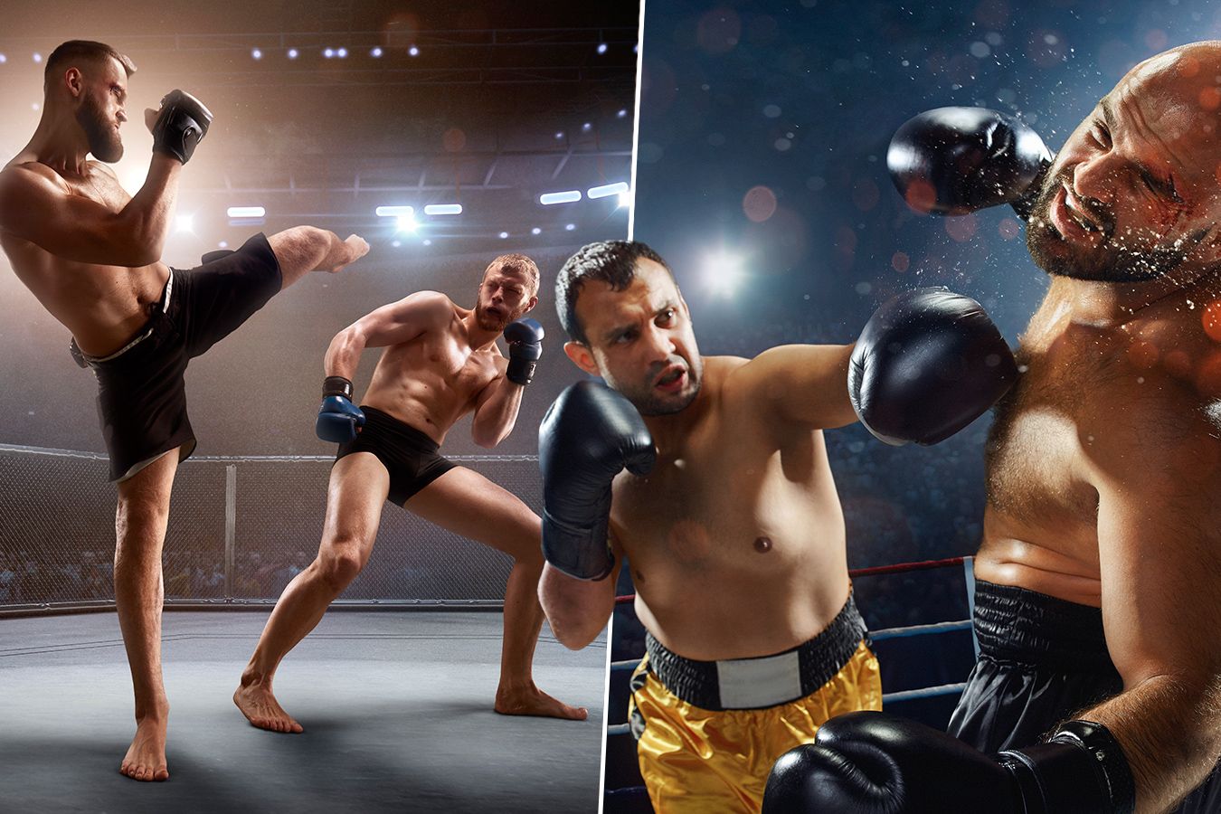 Ренессанс профессионального бокса и битва гигантов в MMA. Как меняются единоборства