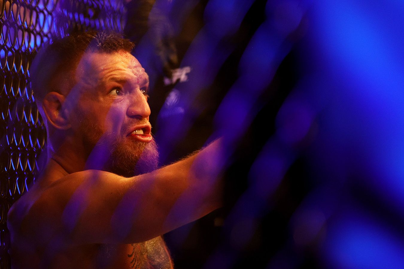 Стал известен возможный оппонент Конора Макгрегора в Ultimate Fighter