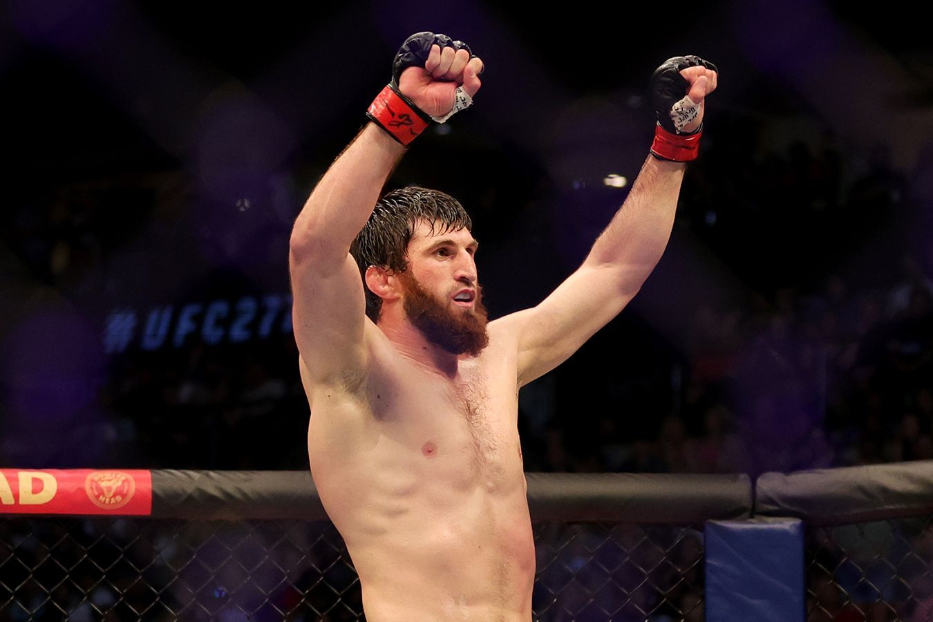 Анкалаев сделал заявление по поводу боя за титул UFC с Блаховичем