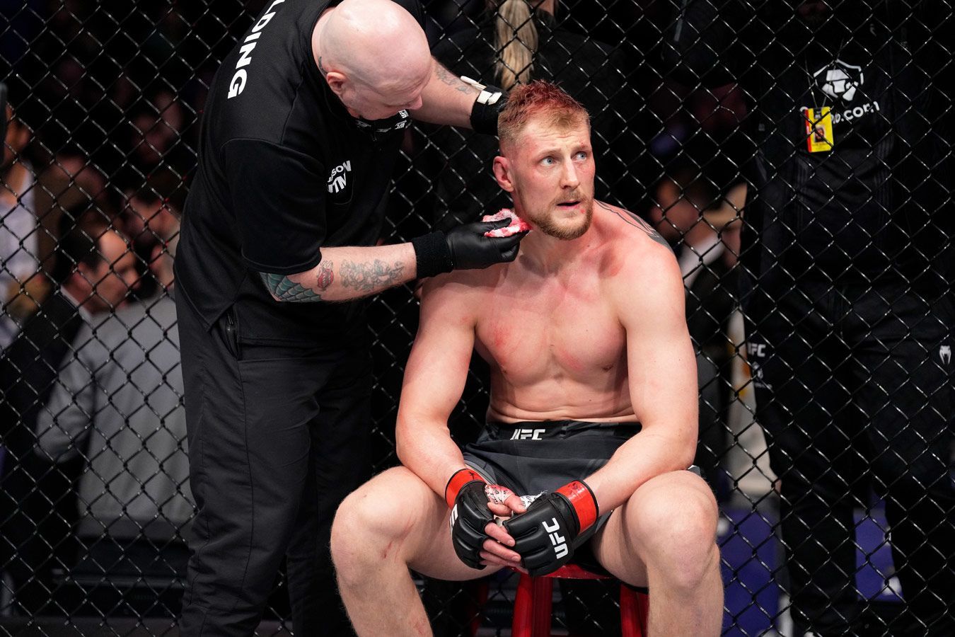 Александр Волков — Сириль Ган: во сколько начало боя на UFC 310, где смотреть трансляцию