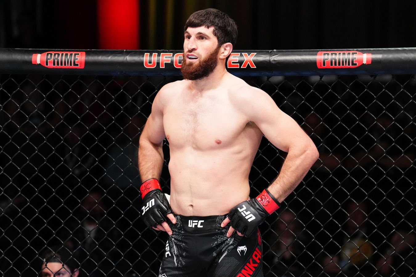 Магомед Анкалаев: да, Али Абдель-Азиз пишет за меня в социальных сетях