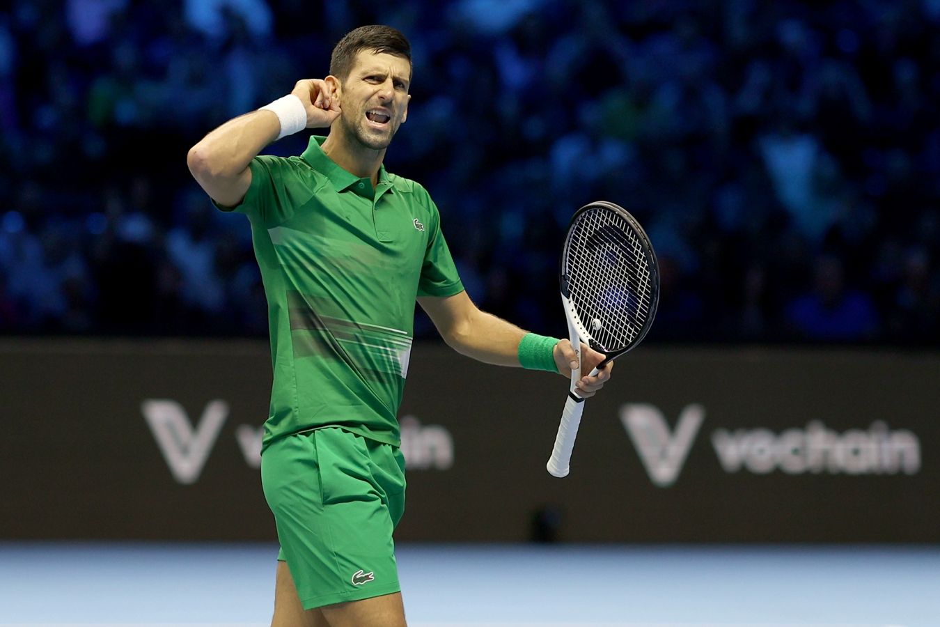 Виландер: в истории нет более голодного теннисиста, чем Джокович перед Australian Open