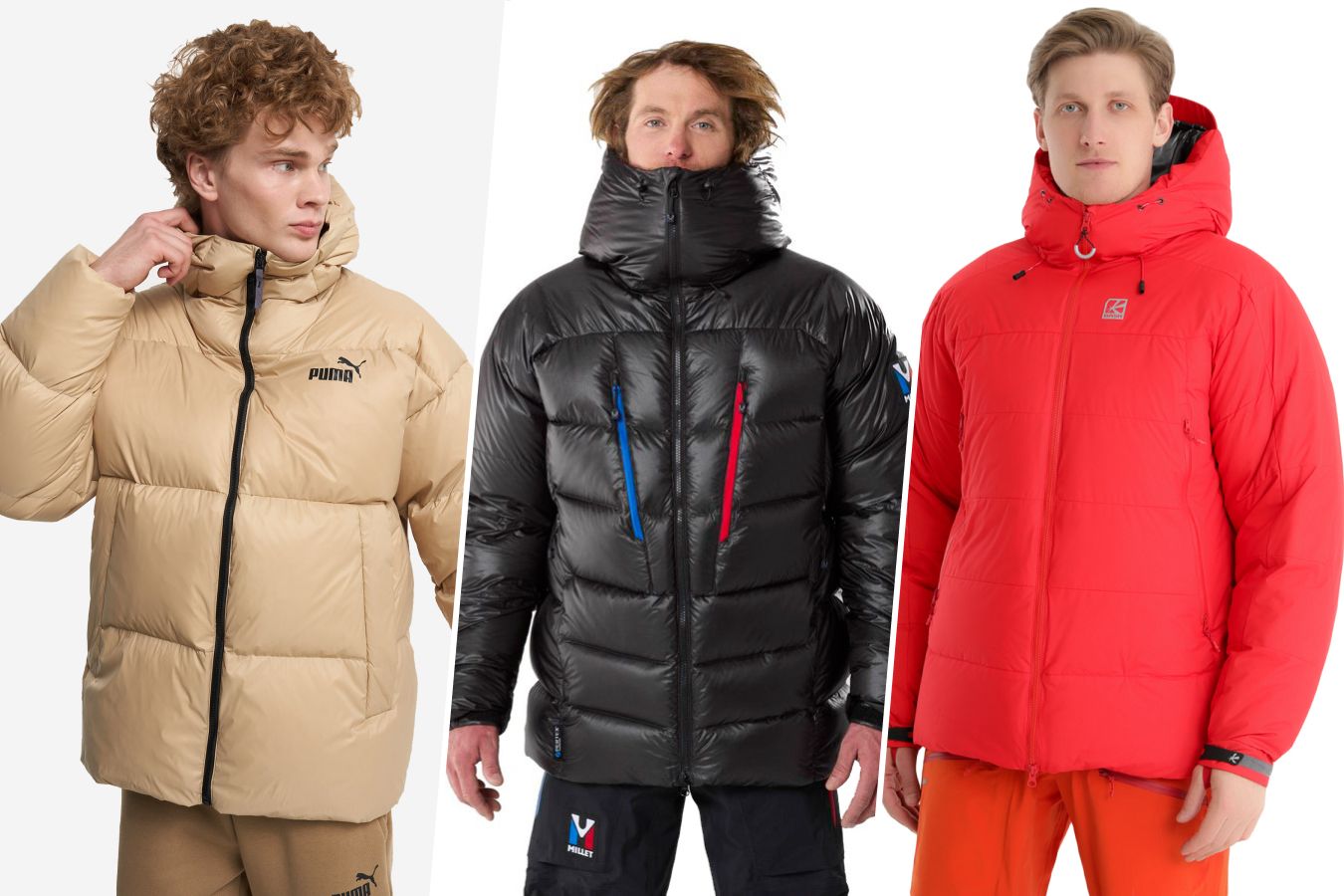 Выбираем «украшение» для куртки - Новости - Furcraft