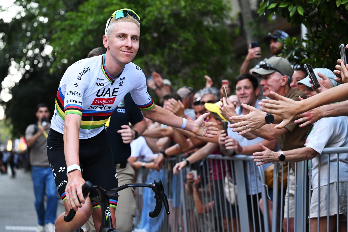 Биография Тадея Погачара