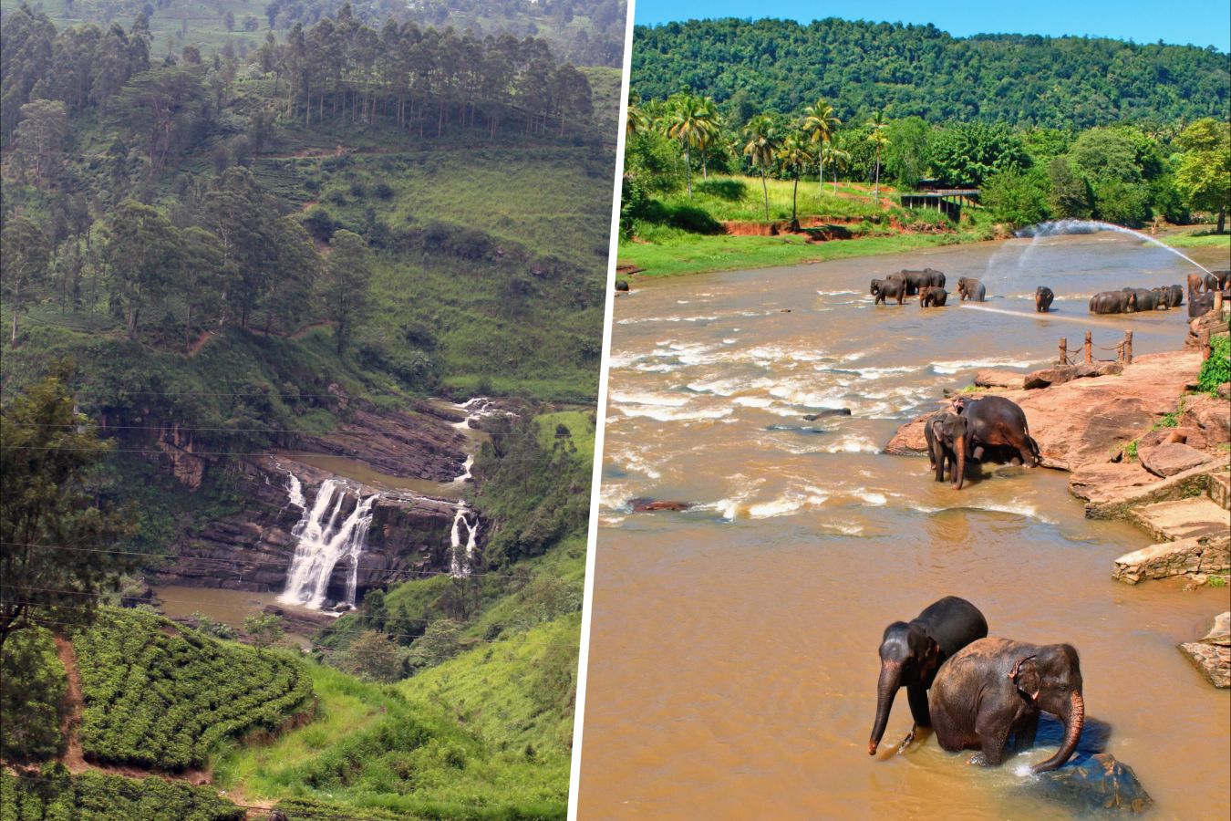 Места на Шри-Ланке, которые стоит посетить