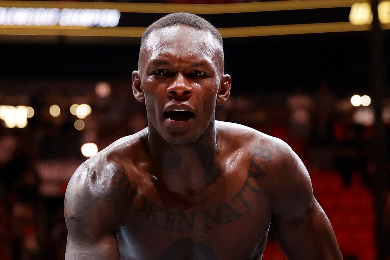 Адесанья назвал победителя в предстоящем поединке Митчелла и Силвы на UFC 314