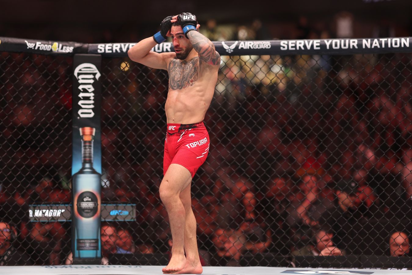 Экс-боец UFC объяснил, почему промоушену необходимо устроить поединок Топурии с Махачевым