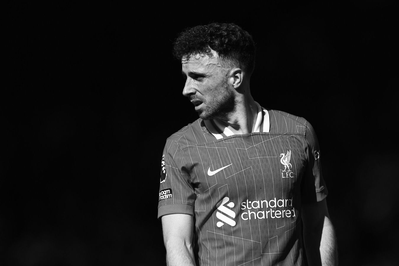 Миселла жекеменшік