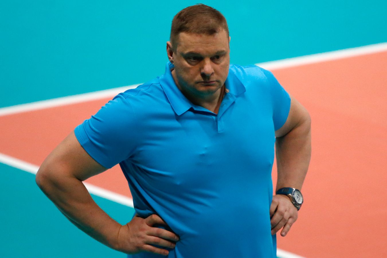 Алекно может возглавить сборную Турции