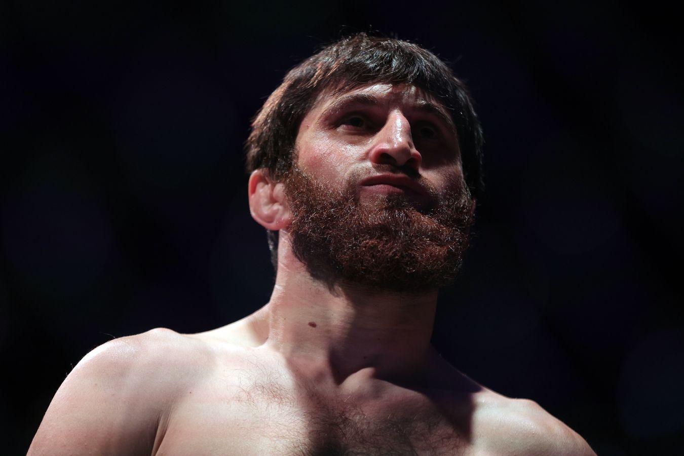 Магомед Анкалаев назвал сроки перехода в тяжёлый вес UFC