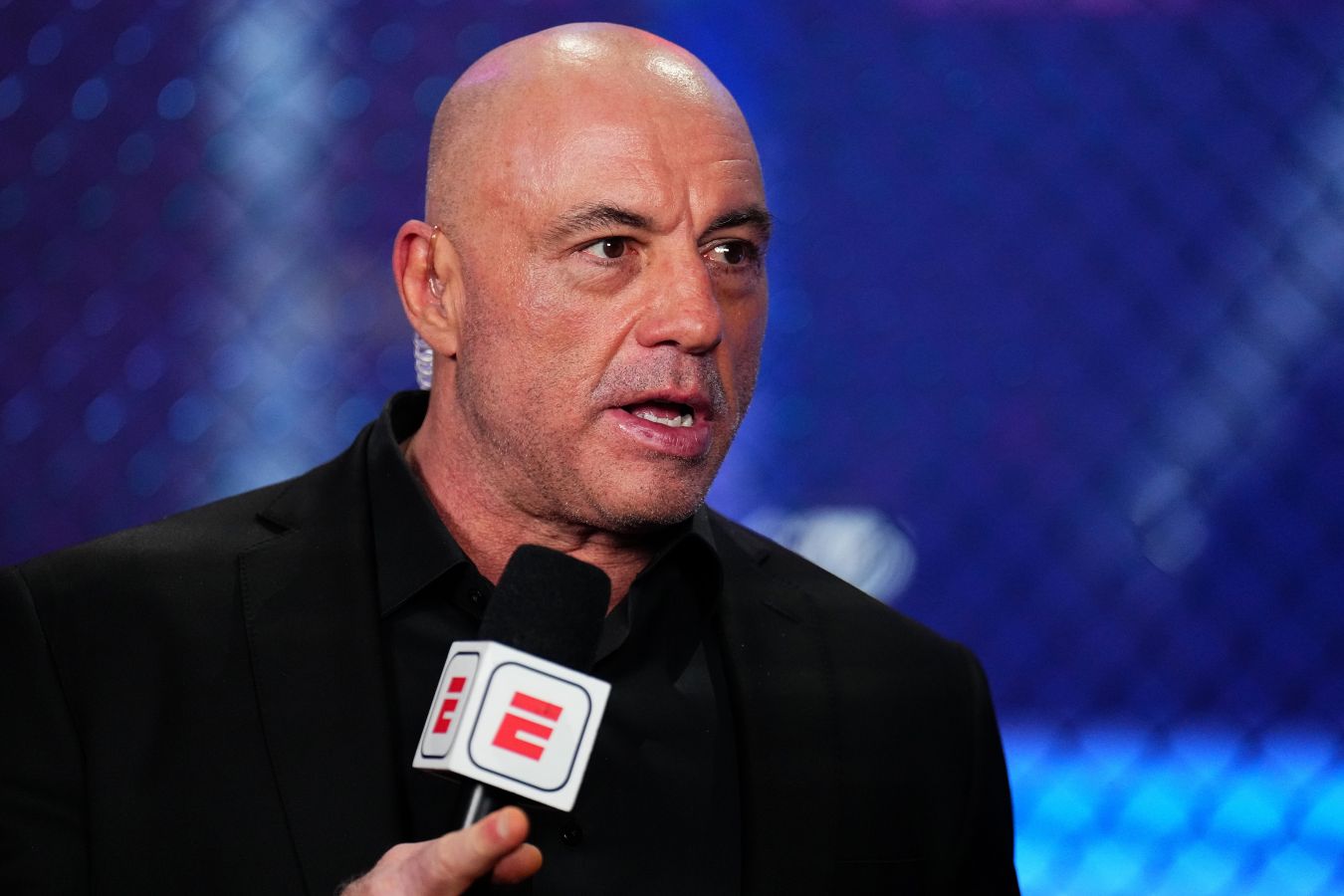 Джо Роган предложил PFL заполнить нишу, которую упускает UFC