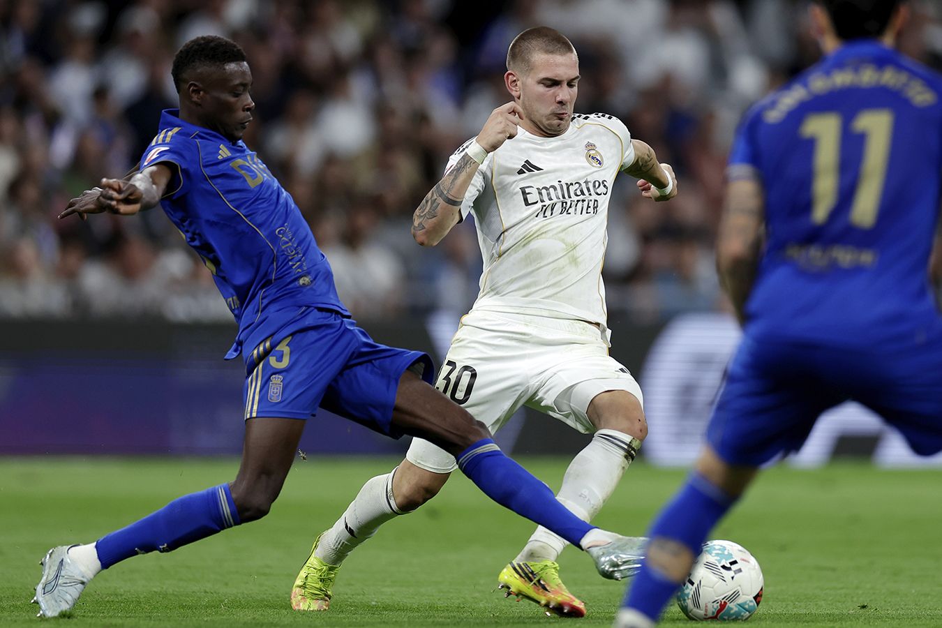 Preview