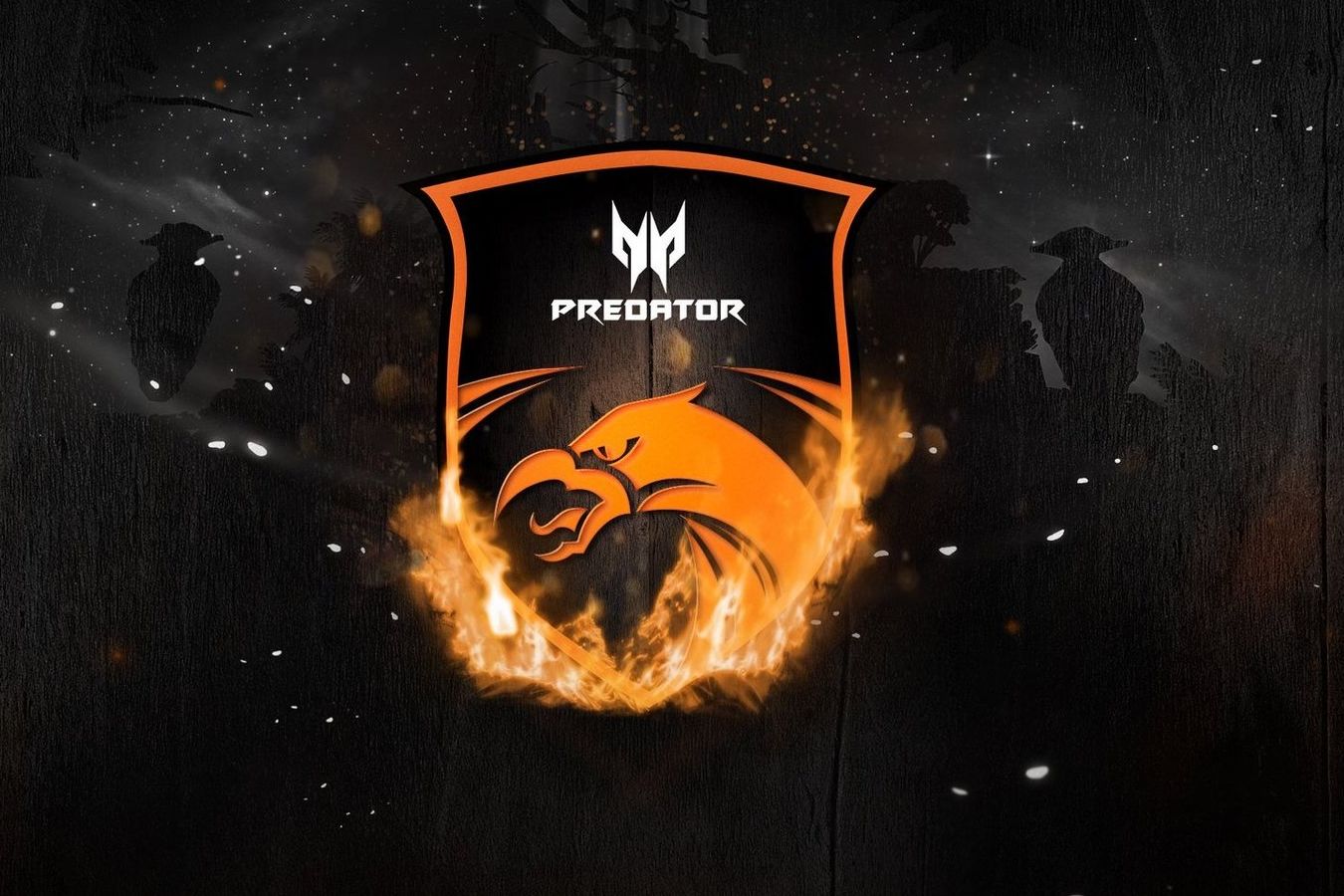 Киберспортсмен по Dota 2 обманывал людей на деньги: продавал аккаунты Steam и менял пароли