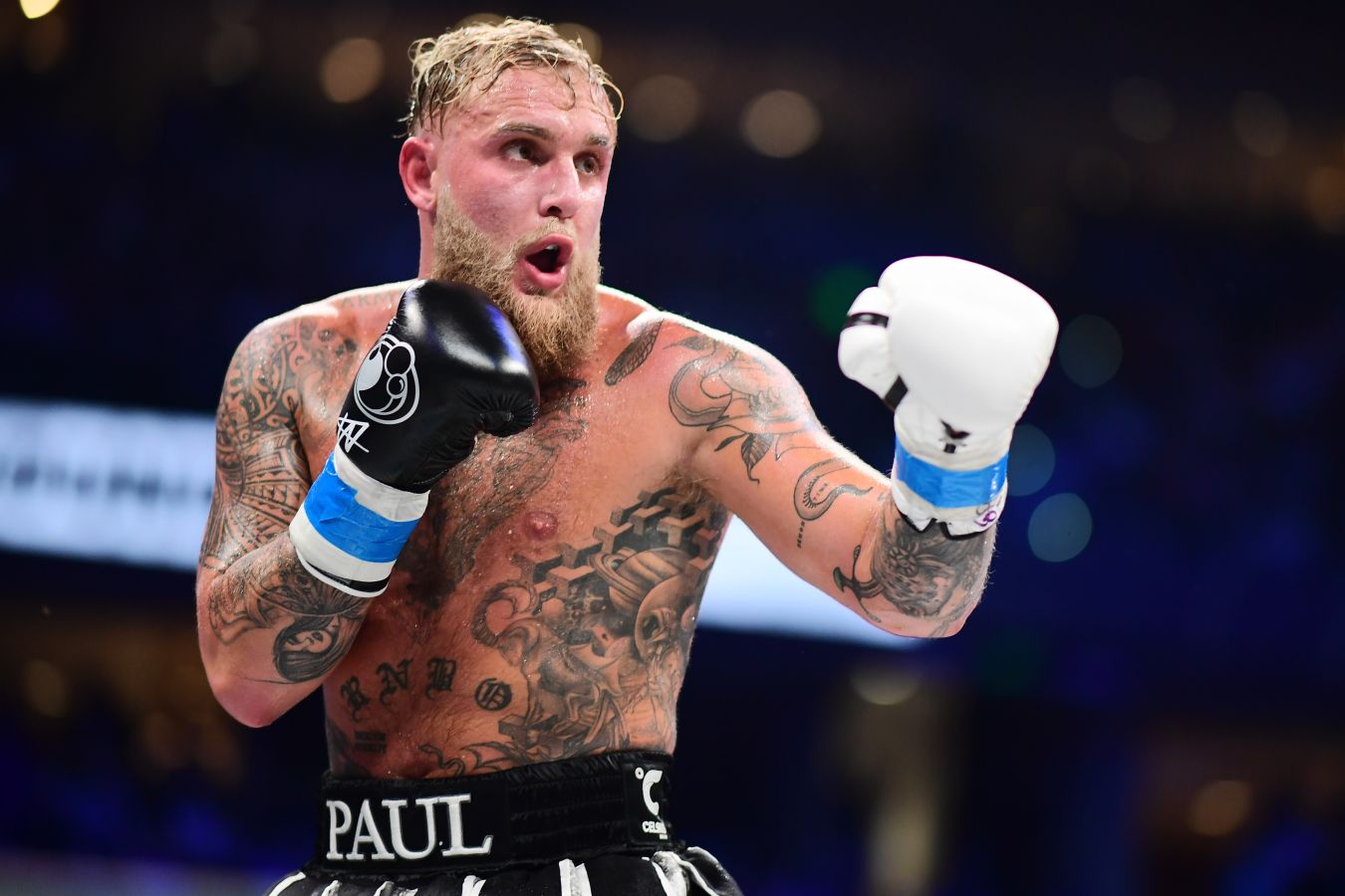 Джейк Пол убил аллигатора на охоте, чтобы подготовить костюм к поединку с Джошуа