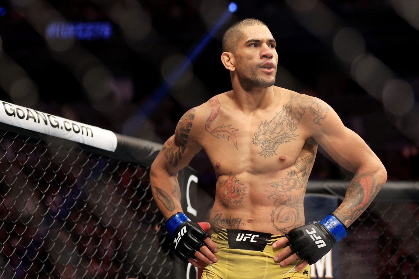 Алекс Перейра не исключил, что снова подерётся с Адесаньей в UFC