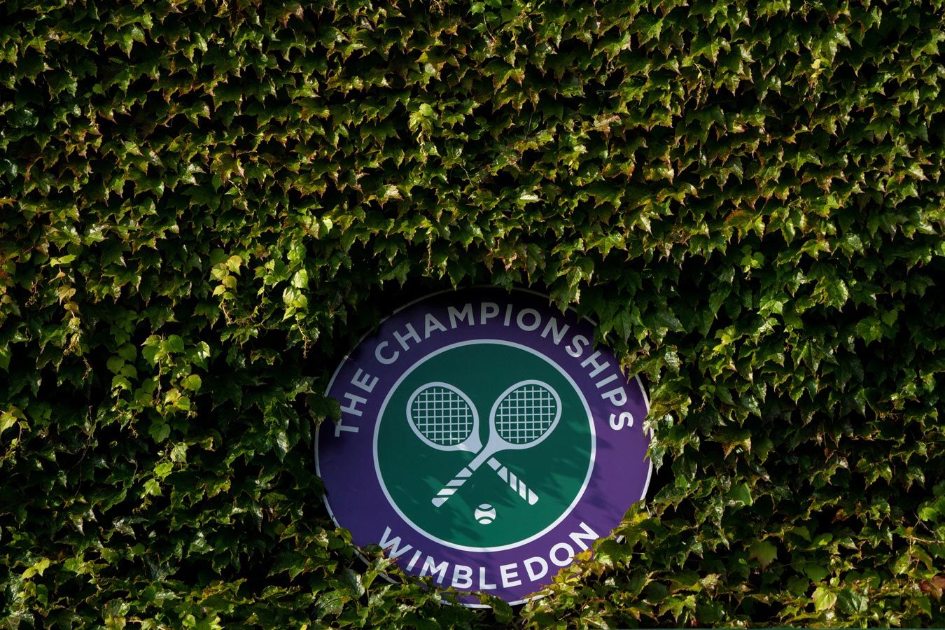 Daily Mail: WTA в ближайшие дни изменит решение о лишении Уимблдона рейтинговых очков