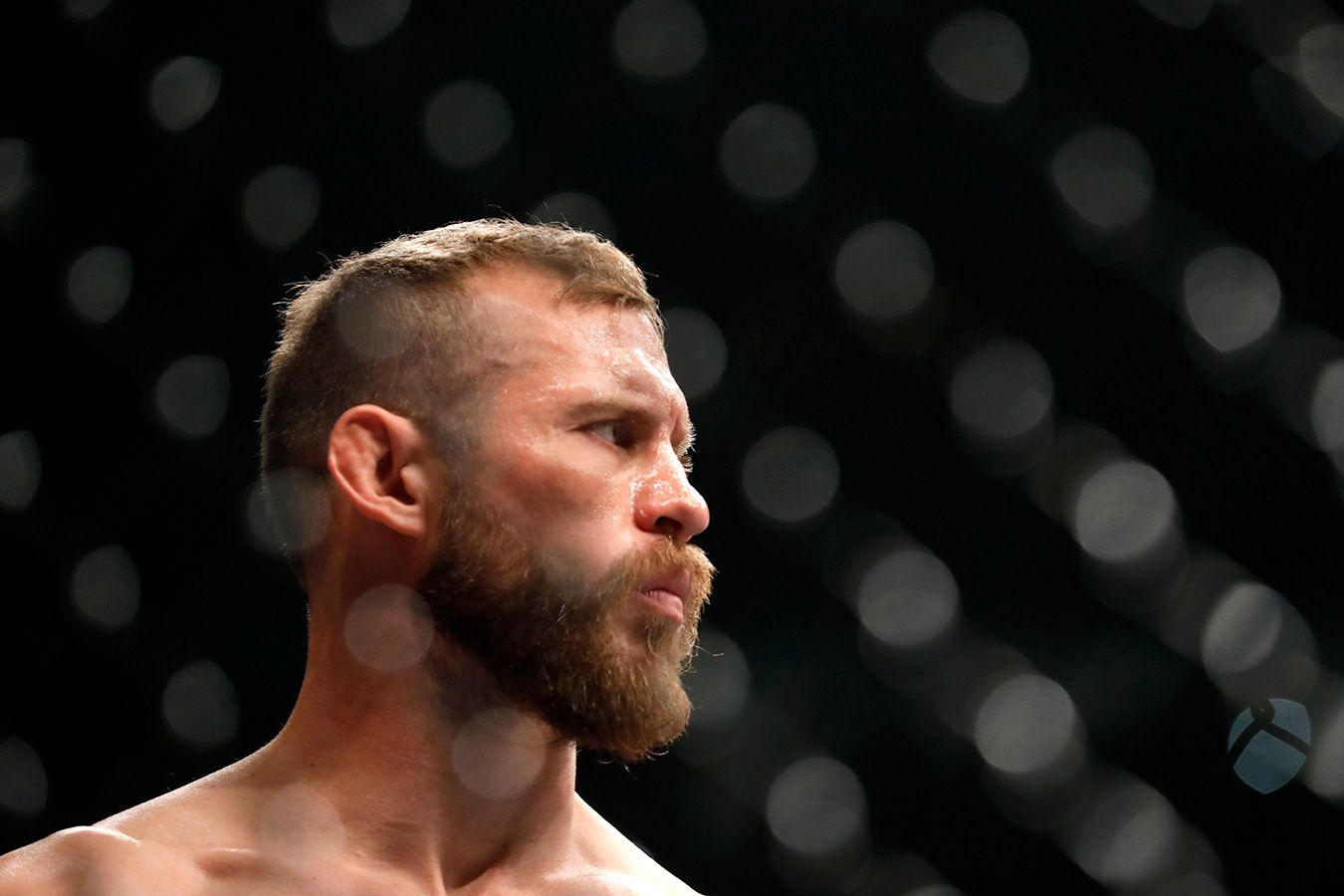 Серроне — о возвращении в UFC: возможно, дебютирую в среднем весе