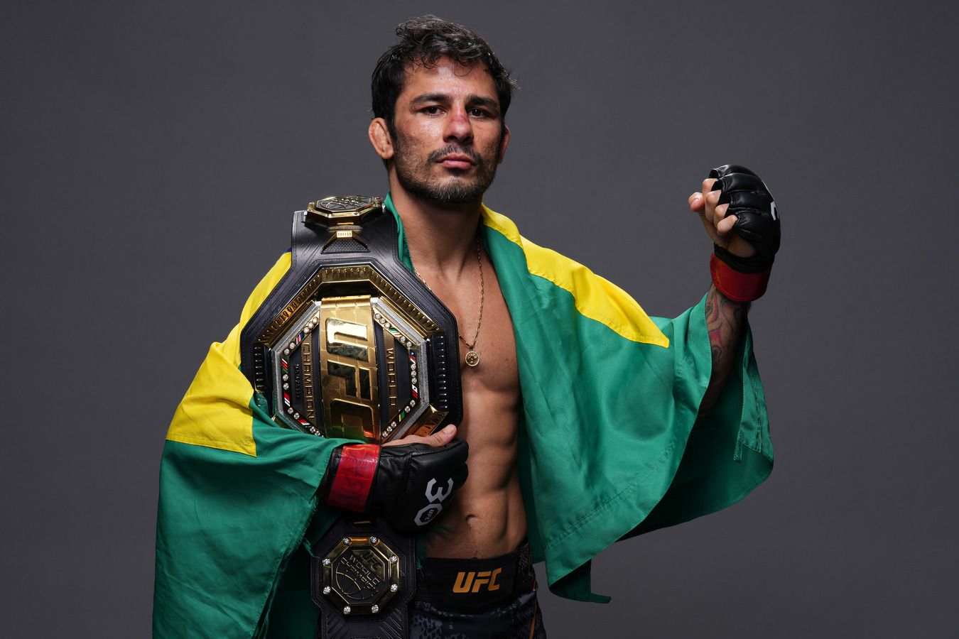 Бонусы участников турнира UFC 310